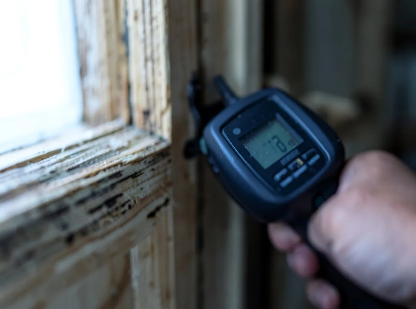 Moisture Inspection And Documentation in Douglas, MA